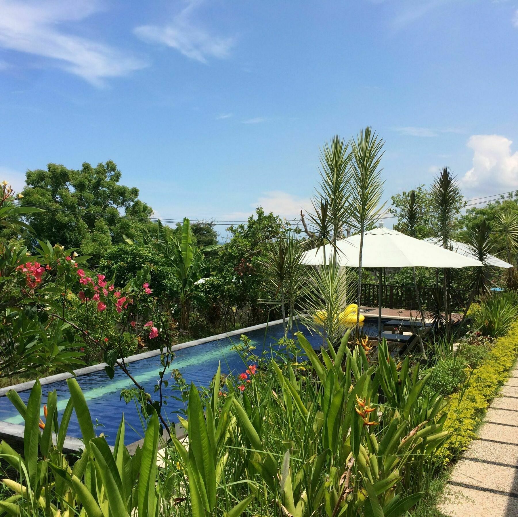 Bali Natur Lovina  Exterior photo