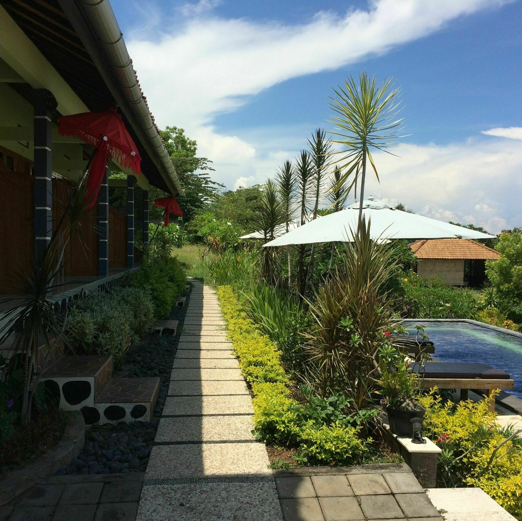 Bali Natur Lovina  Exterior photo